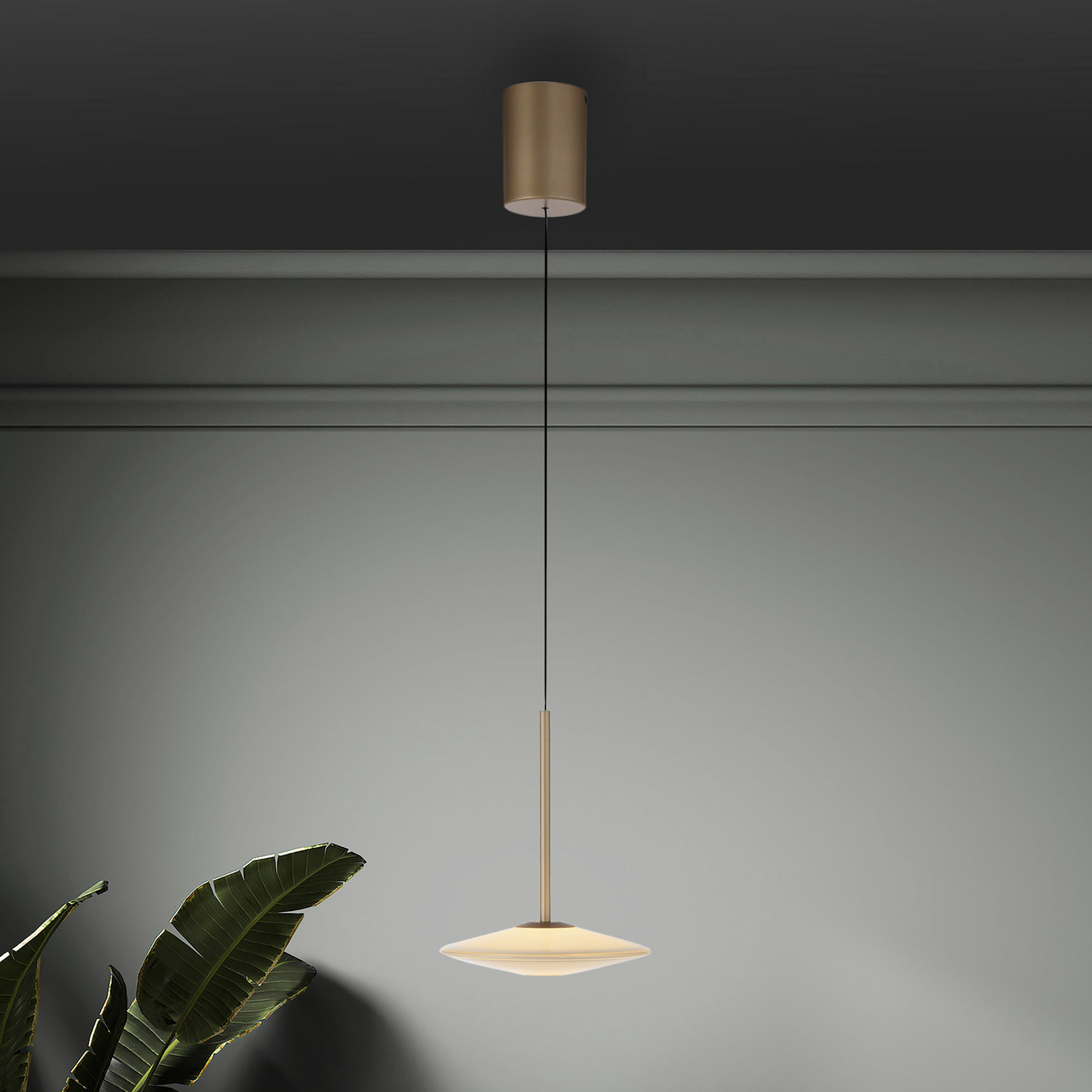 Paul Neuhaus LED-hänglampa Elipsa, 1 lampa, vit/brons